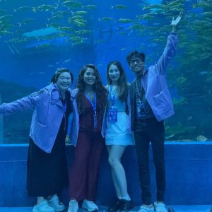 International opportunities for mermaids