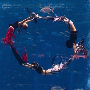 International mermaid competitions